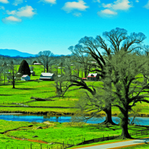 Local Plumbing and Drain Cleaning Contractor - Find the Best Emergency Plumber in Arkland TN